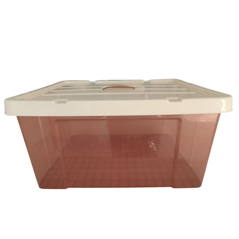 Caja Organizadora 65 LTS GN3217